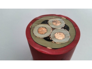 盾構(gòu)機(jī)電纜3