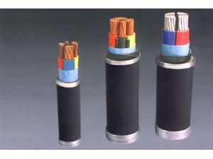 交聯(lián)聚乙烯絕緣電力電纜